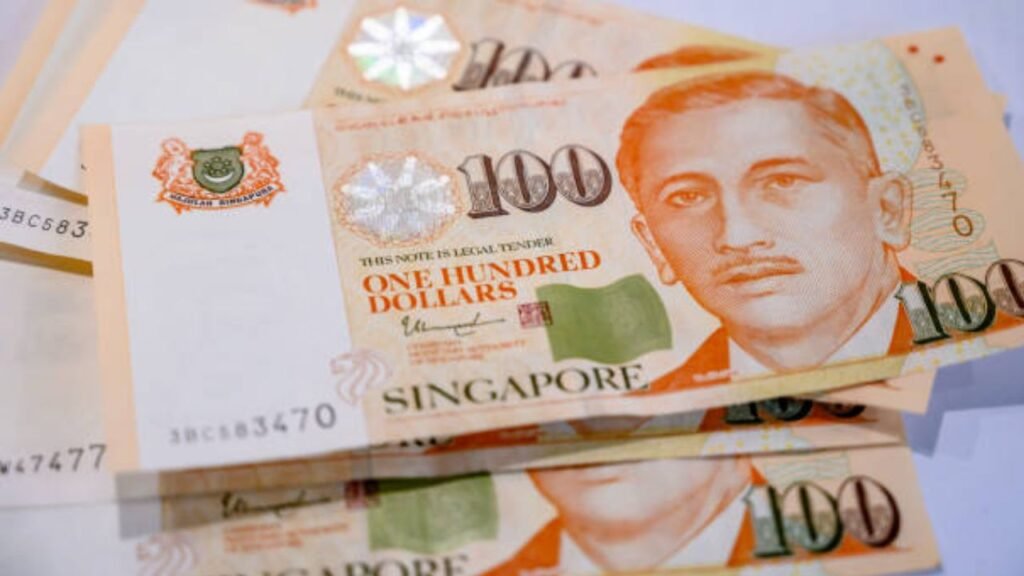 Singapore Workfare Support